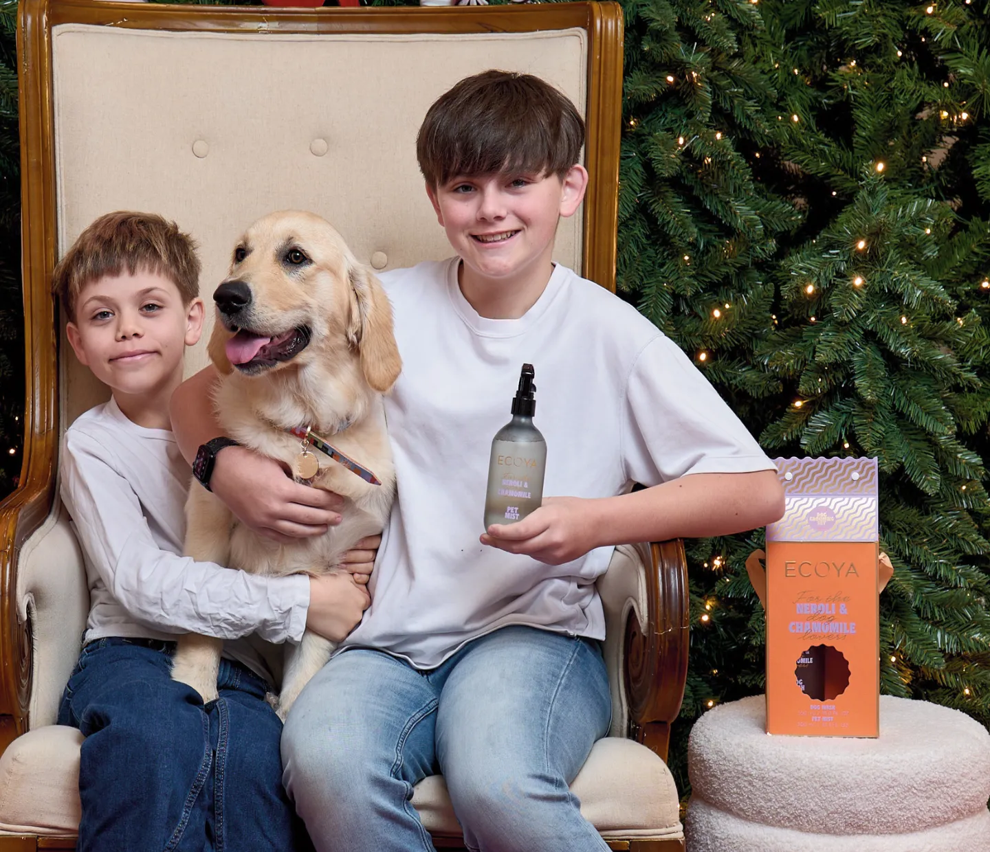 christmas-gifts-2025-ecoya-range-family